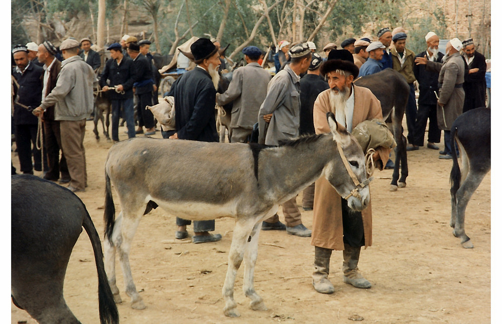 Sonntagsmarkt Abteilung Esel , Kashgar Xinjiang, China