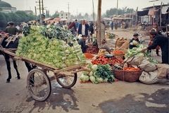  Sonntagsmarkt in Kashgar Abteilung Gemüse