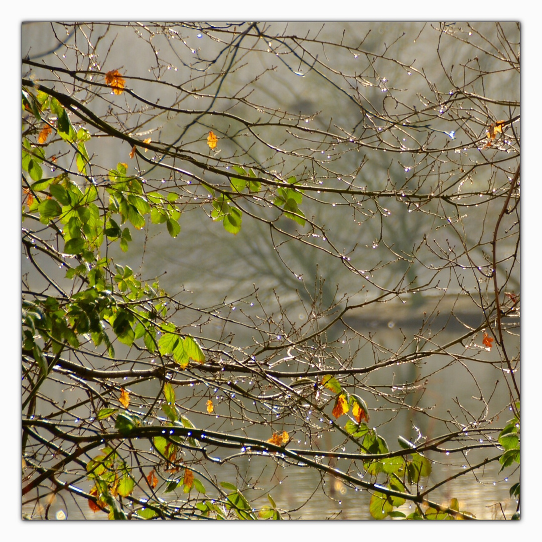 Sonntagspaziergang am Rotbachsee