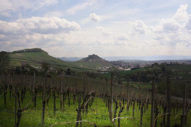 Sonntagspaziergang am Wartberg