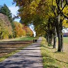 Sonntagspaziergang auf der Fohlenhofallee