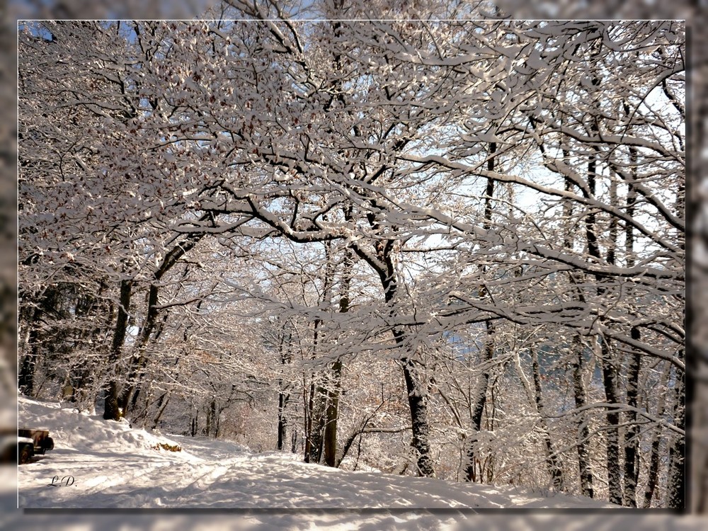 Sonntagspaziergang im Schnee