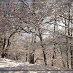 Sonntagspaziergang im Schnee