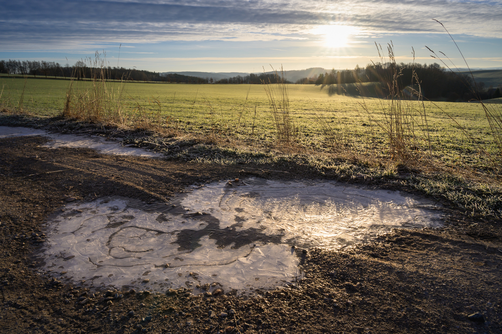 Sonntagsspaziergang 05.02.2023 II