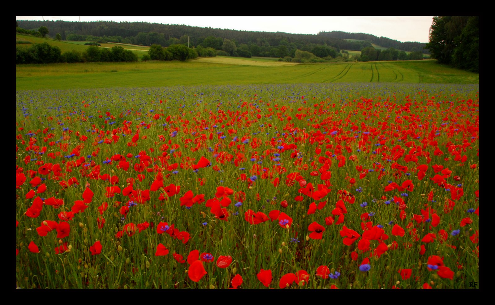 Sonntagsspaziergang