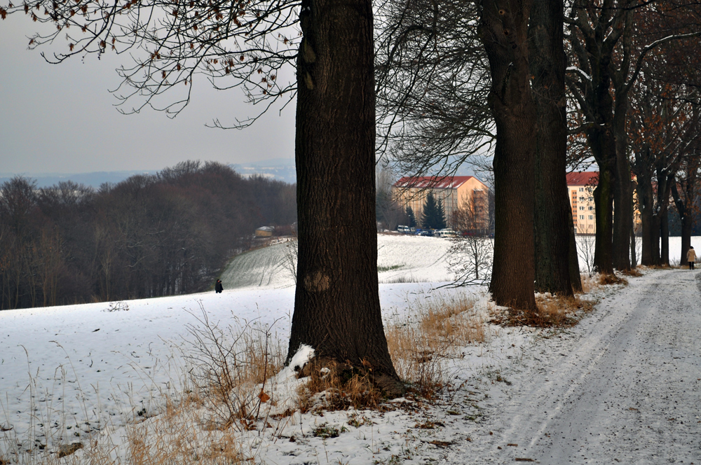 Sonntagsspaziergang (2)