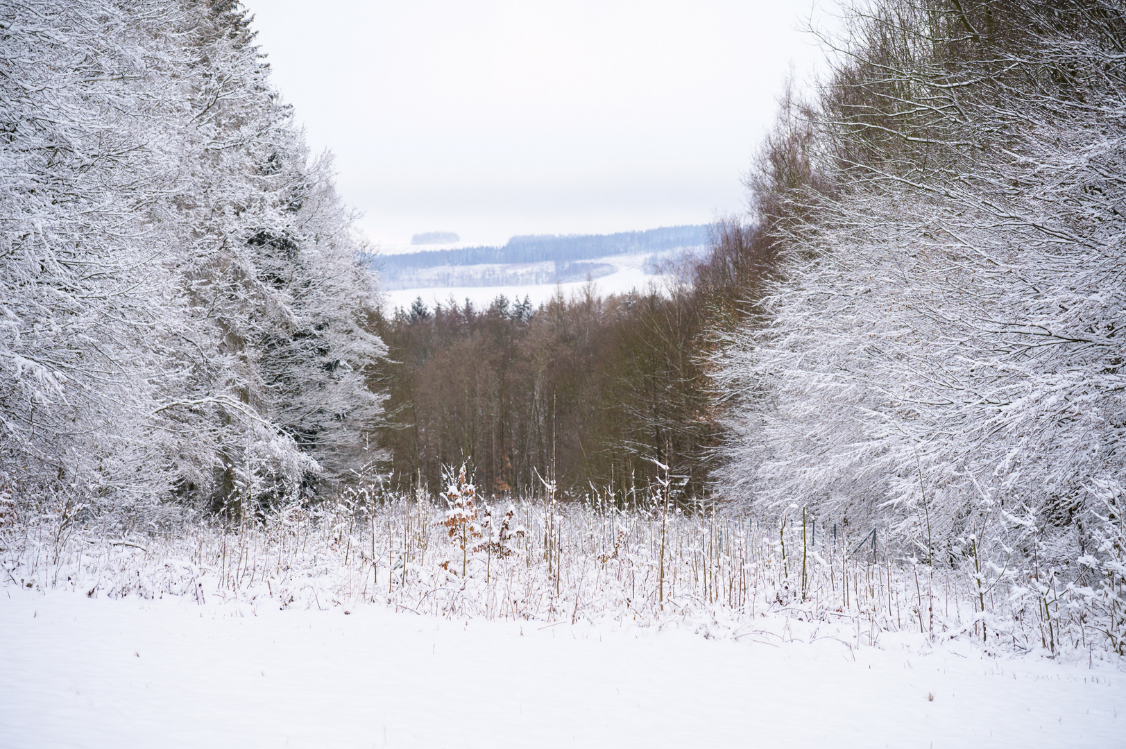 Sonntagsspaziergang 26.02.2023 II