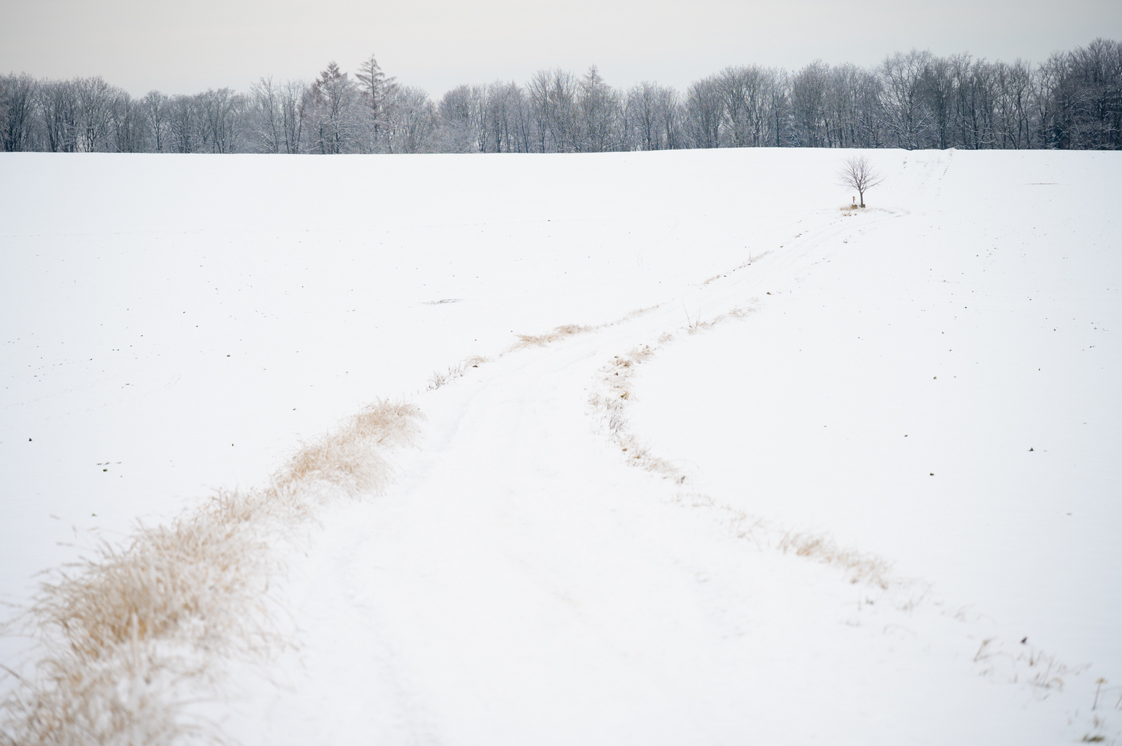 Sonntagsspaziergang 29.01.2023 I