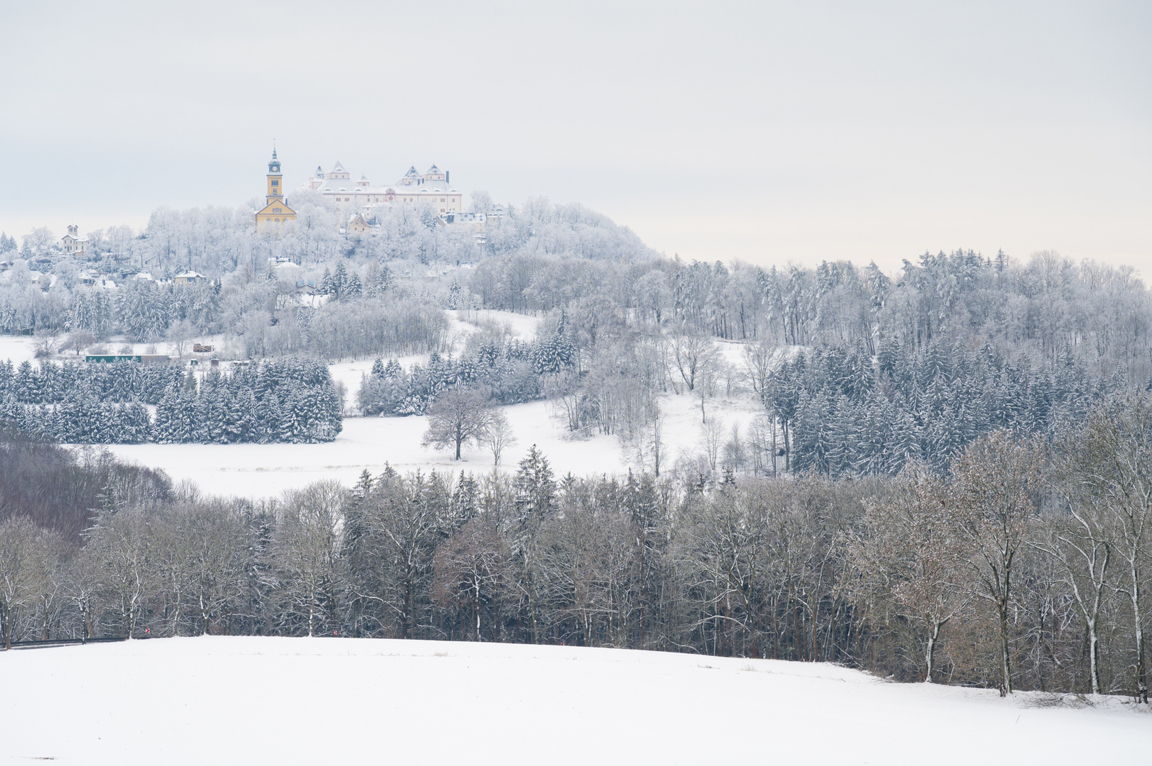 Sonntagsspaziergang 29.01.2023 IV