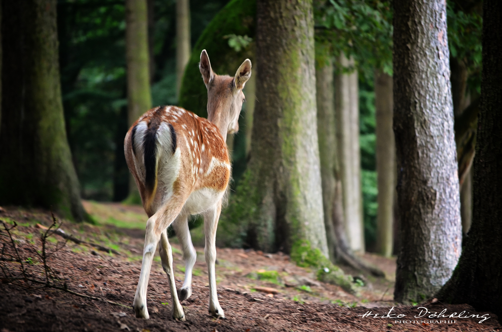 Sonntagsspaziergang