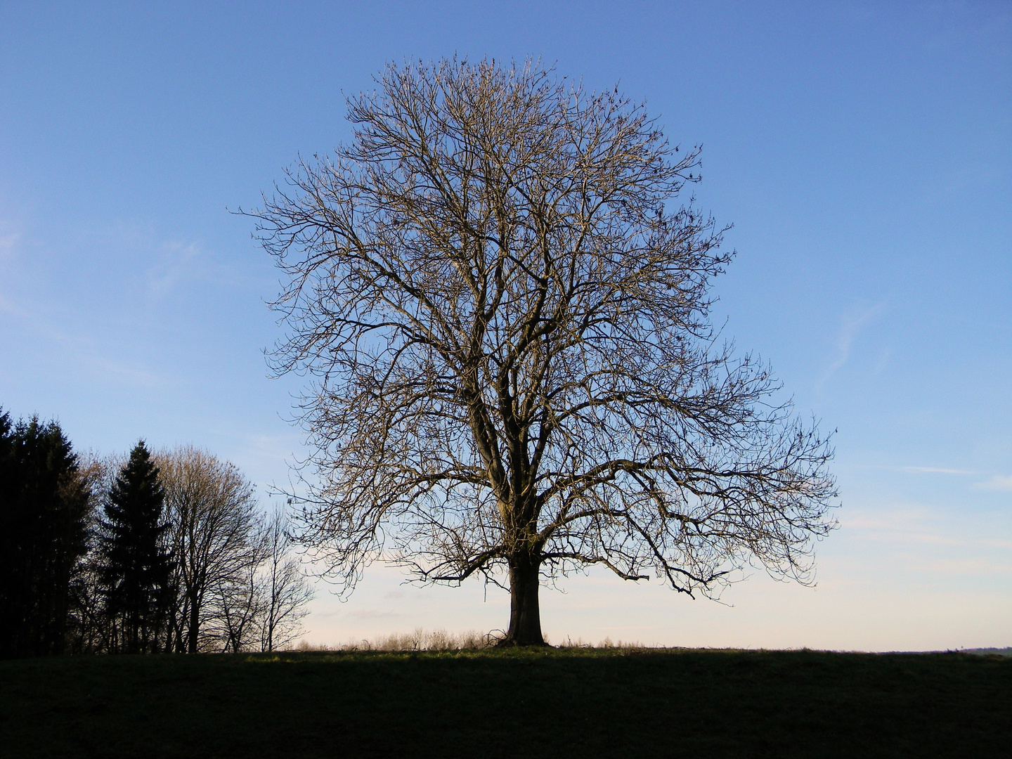 Sonntagsspaziergang