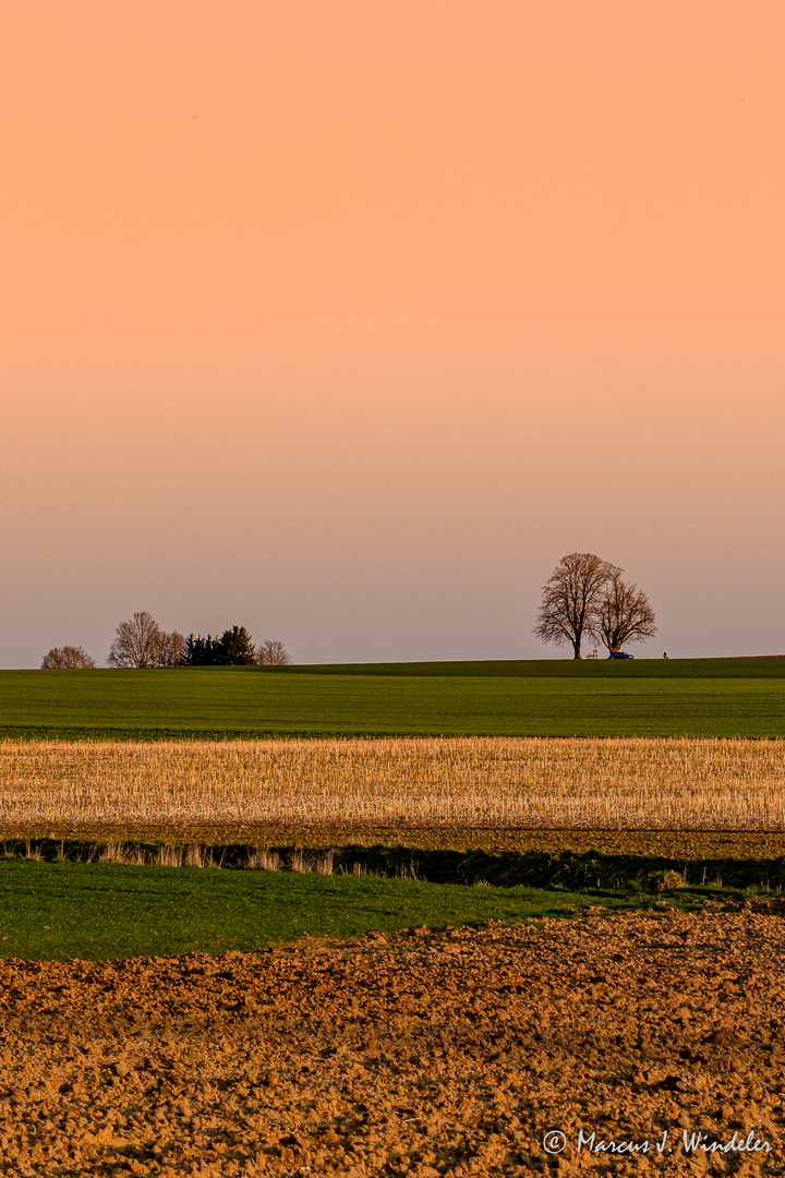 Sonntagsspaziergang