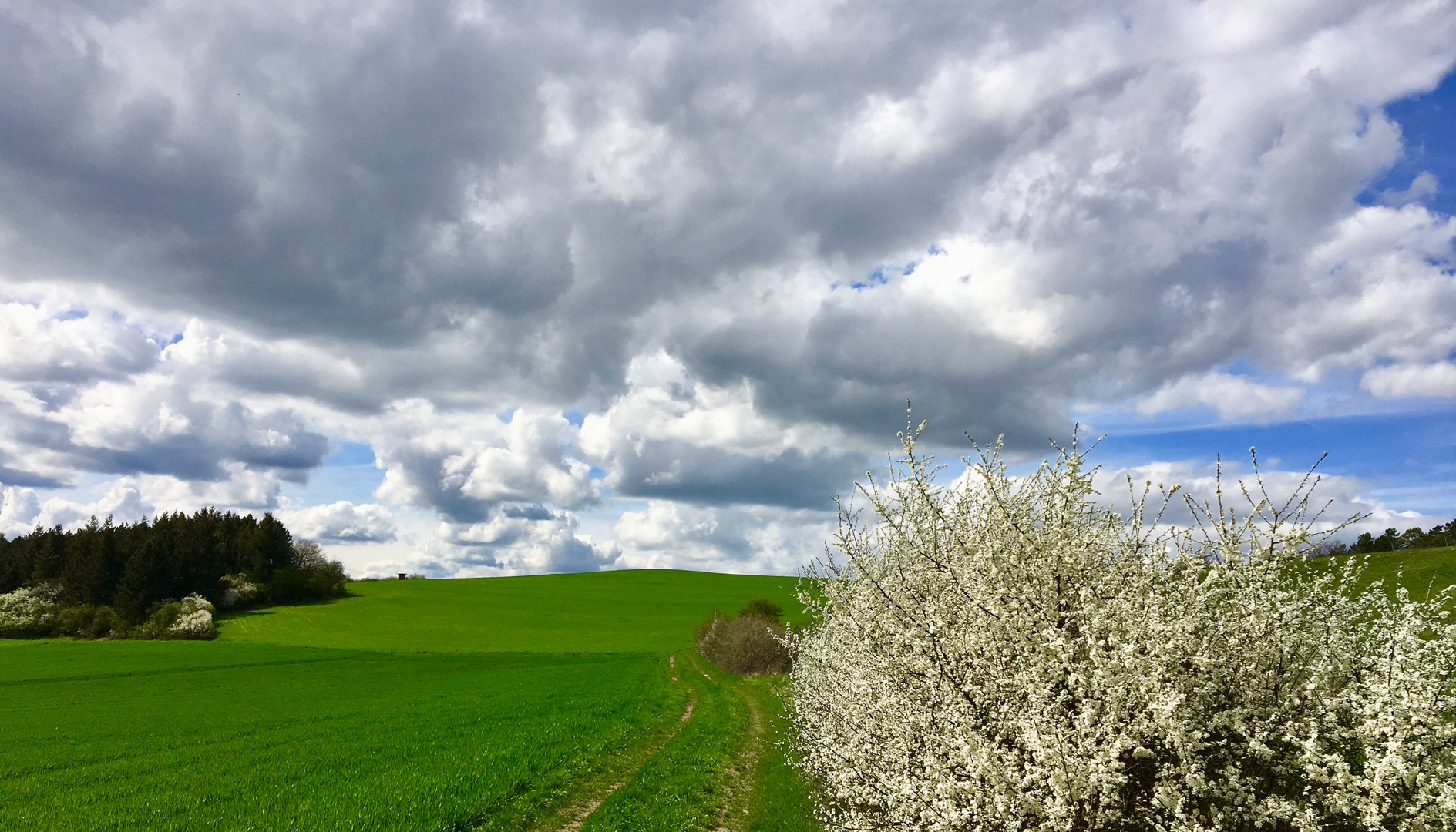 Sonntagsspaziergang