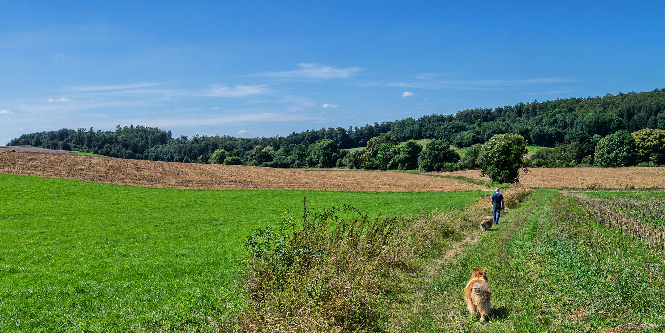 Sonntagsspaziergang