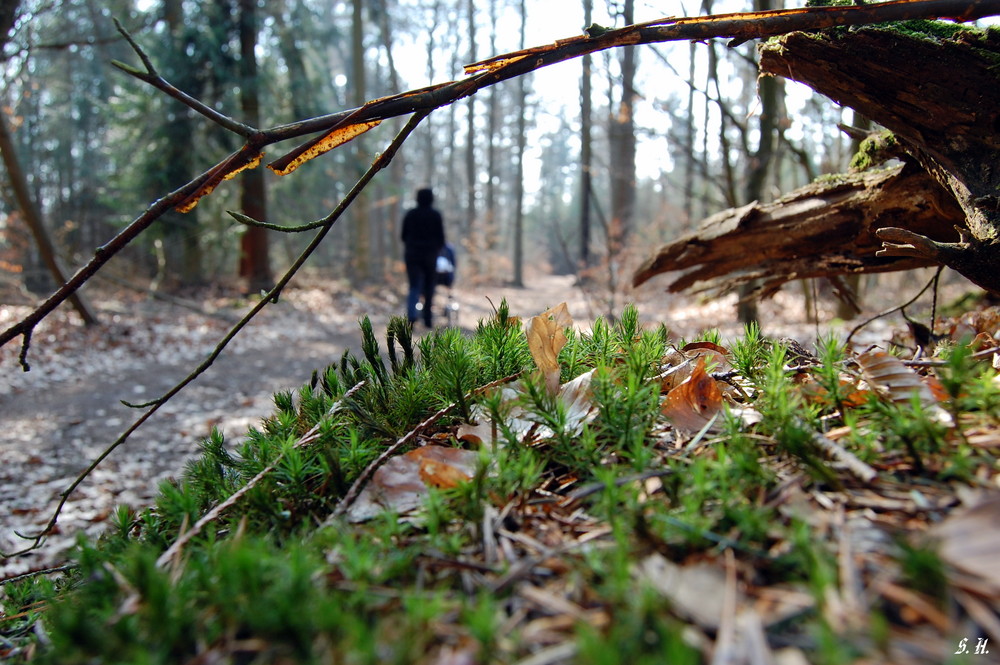 Sonntagsspaziergang