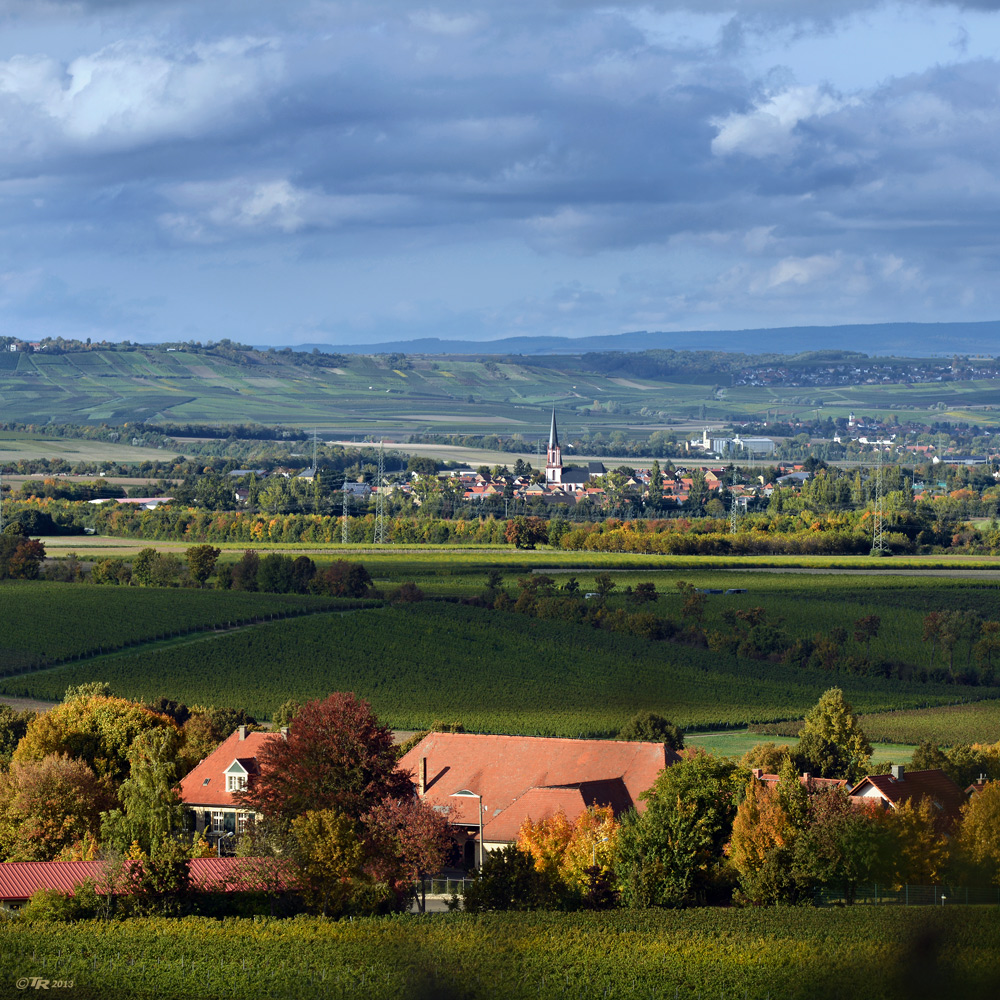 Sonntagsspaziergang