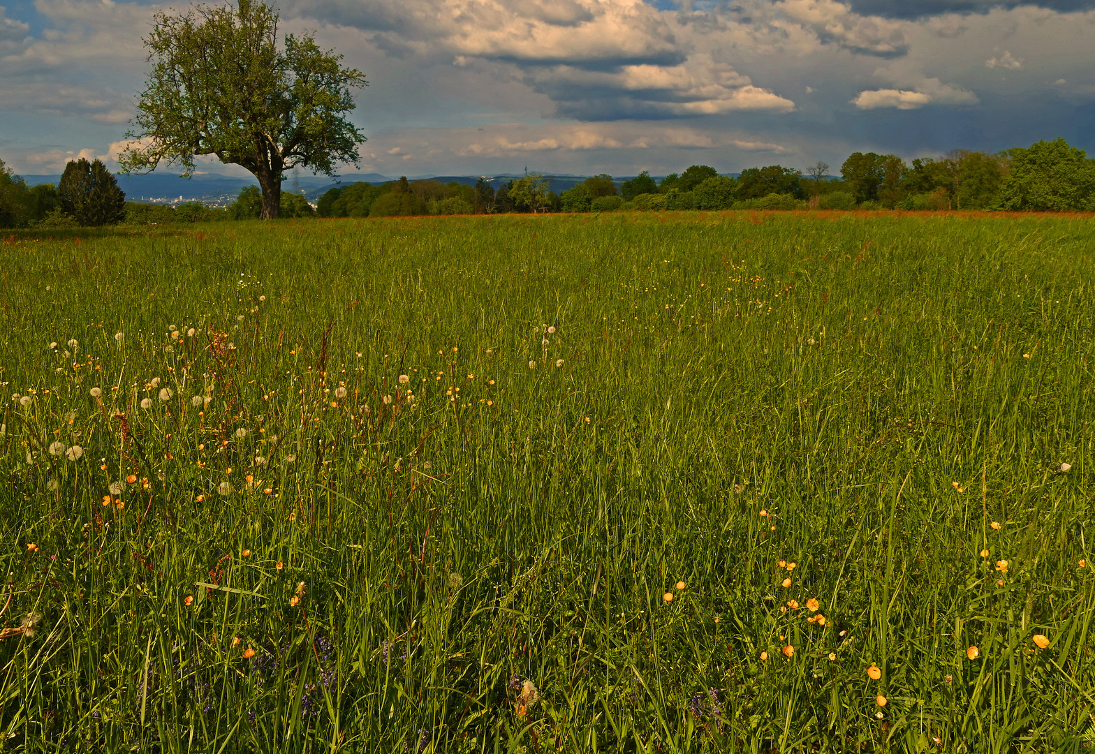 Sonntagsspaziergang