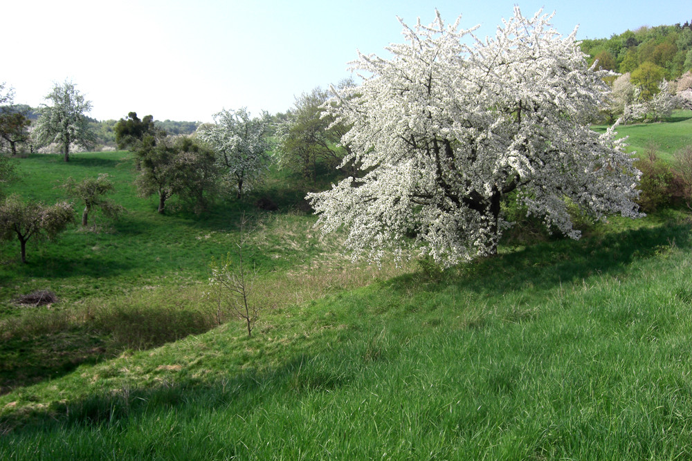 Sonntagsspaziergang