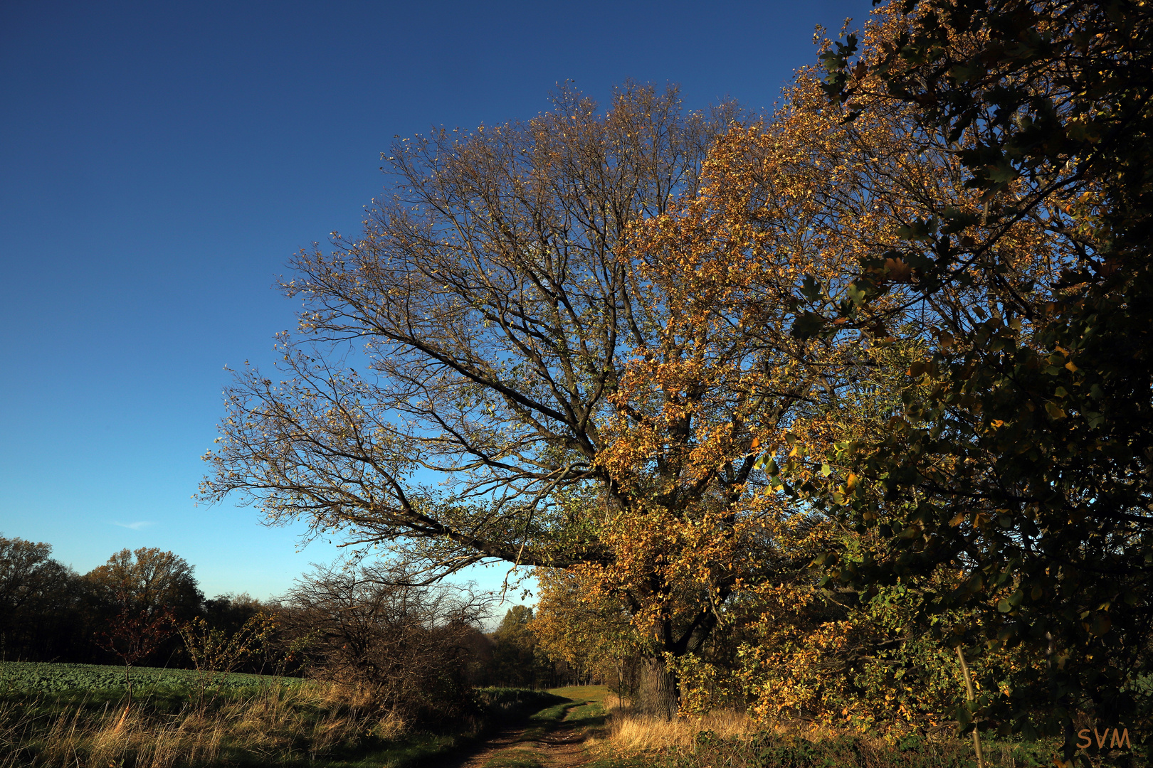 Sonntagsspaziergang am 13.11.2022