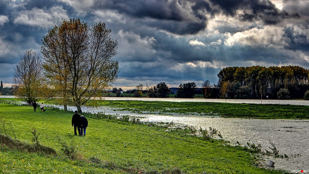 Sonntagsspaziergang am Rhein und ein alter Eimer