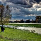 Sonntagsspaziergang am Rhein und ein alter Eimer