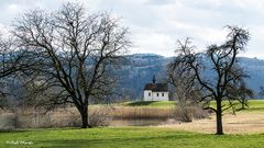 Sonntagsspaziergang am See