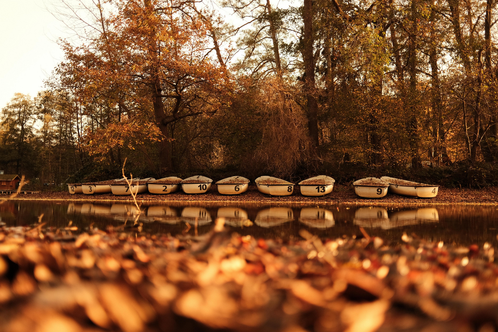 Sonntagsspaziergang an den Fischteichen in Paderborn, bei schönen sonnigen Wetter