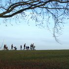 Sonntagsspaziergang auf der Vogelstang