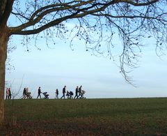 Sonntagsspaziergang auf der Vogelstang