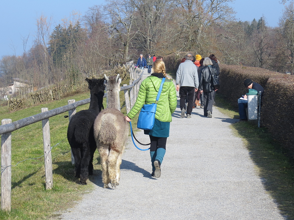 Sonntagsspaziergang auf "Drei Weieren" über St. Gallen