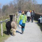 Sonntagsspaziergang auf "Drei Weieren" über St. Gallen