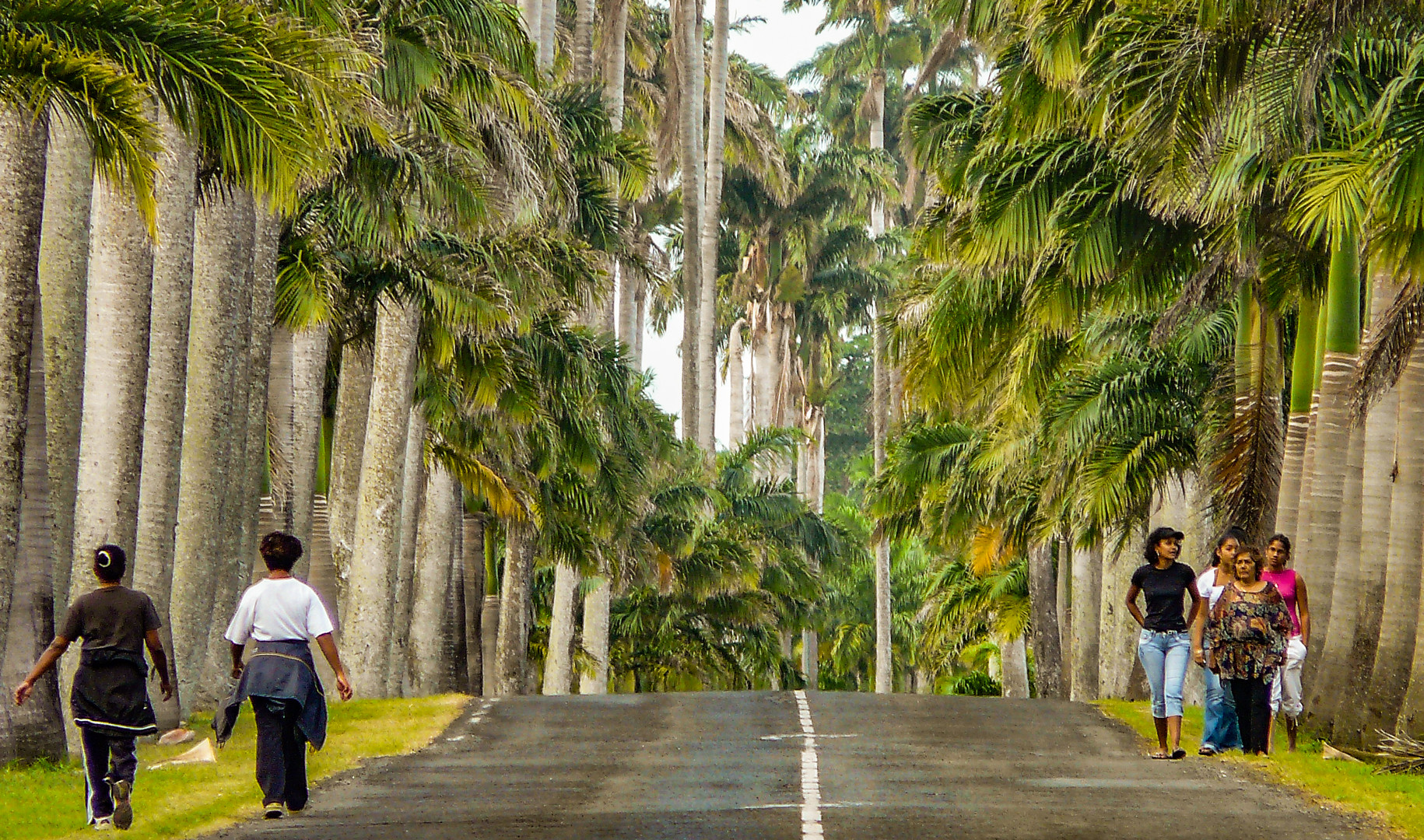 Sonntagsspaziergang auf Guadeloupe