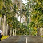 Sonntagsspaziergang auf Guadeloupe