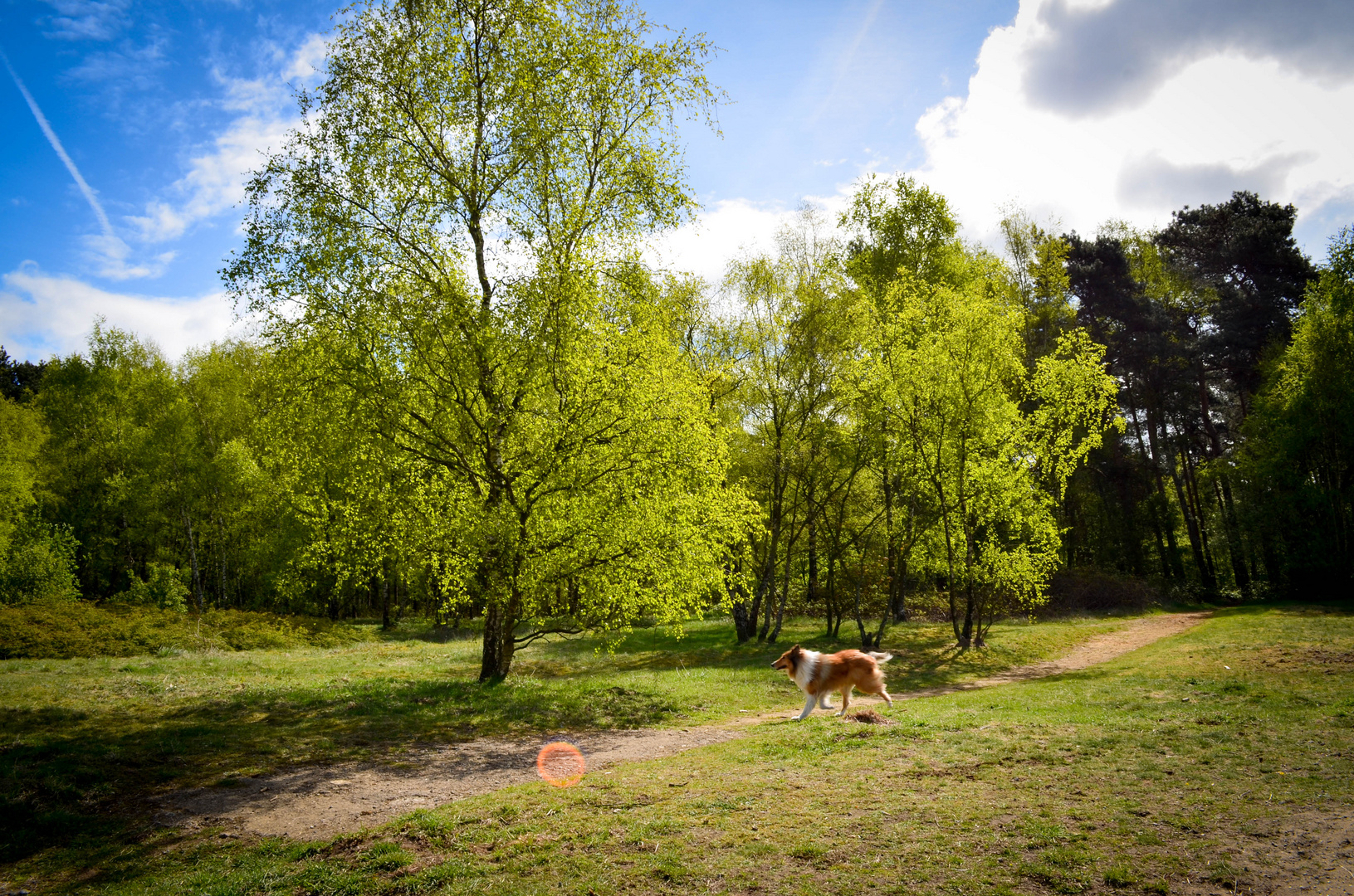 Sonntagsspaziergang