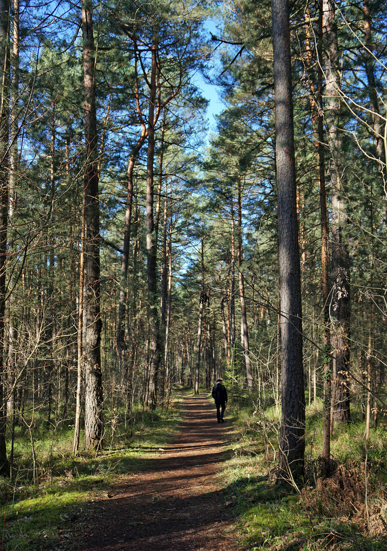 Sonntagsspaziergang