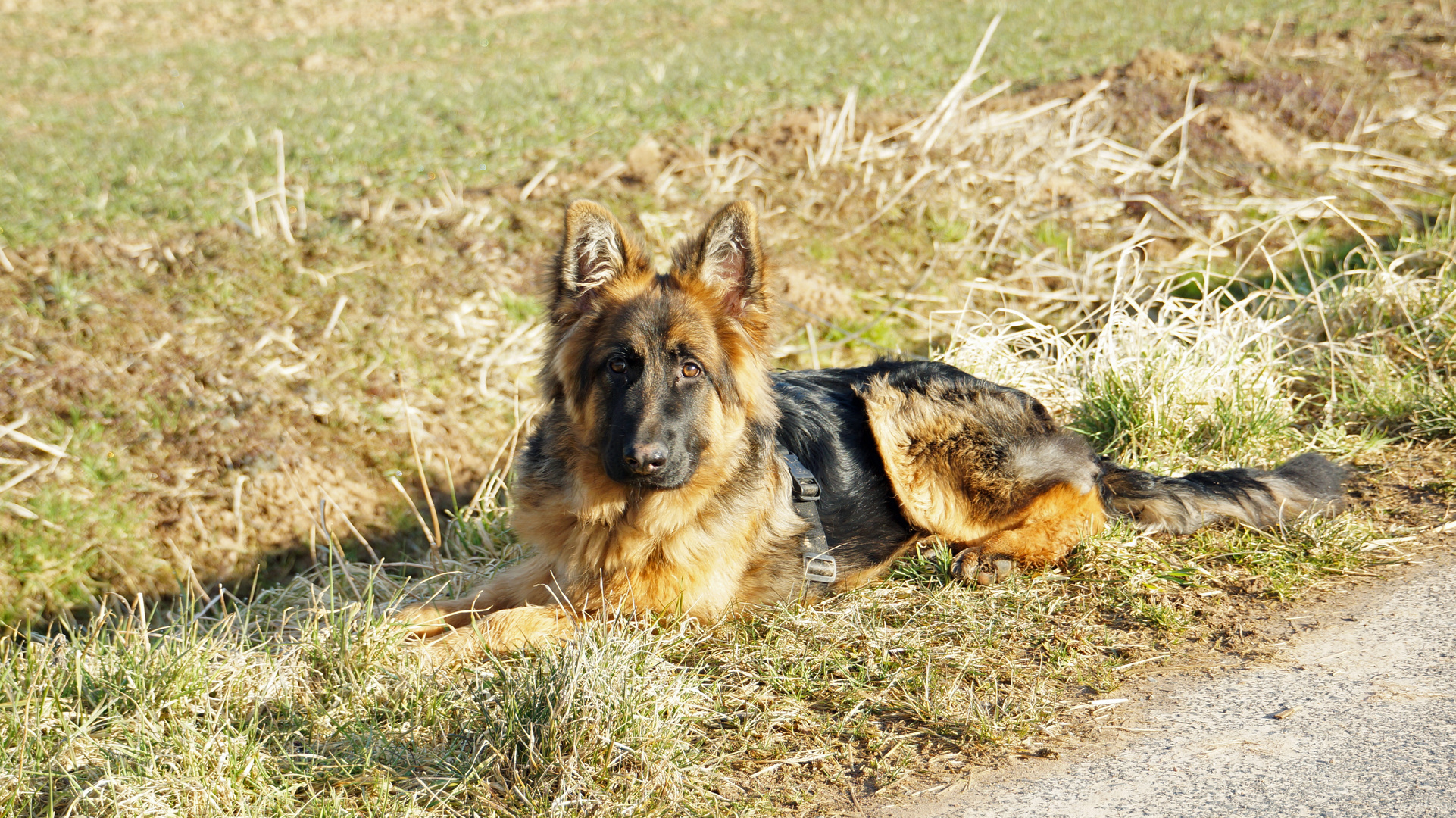 Sonntagsspaziergang bei schönstem Wetter