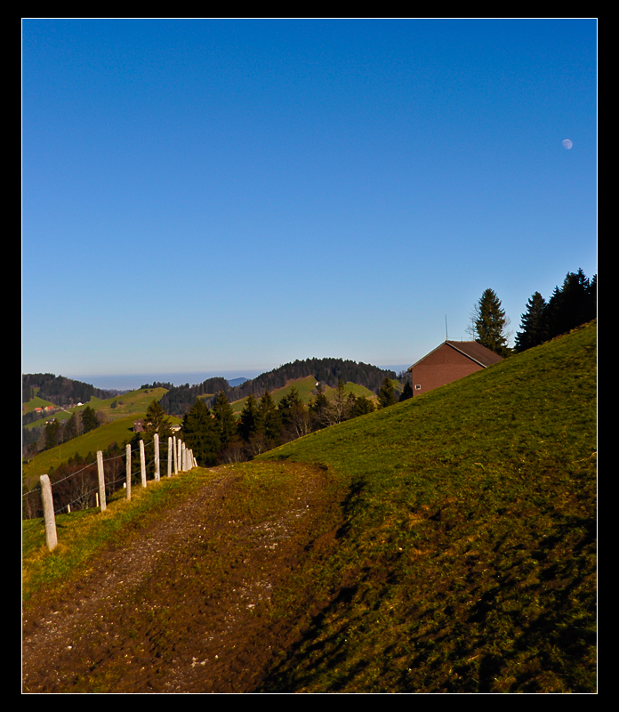 Sonntagsspaziergang (Bergli)