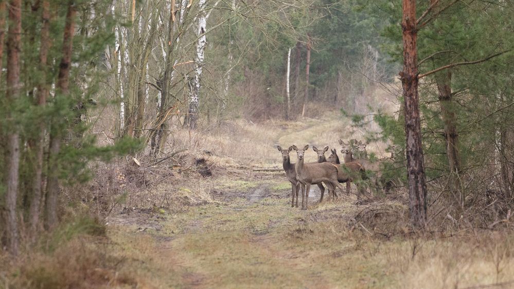 Sonntagsspaziergang