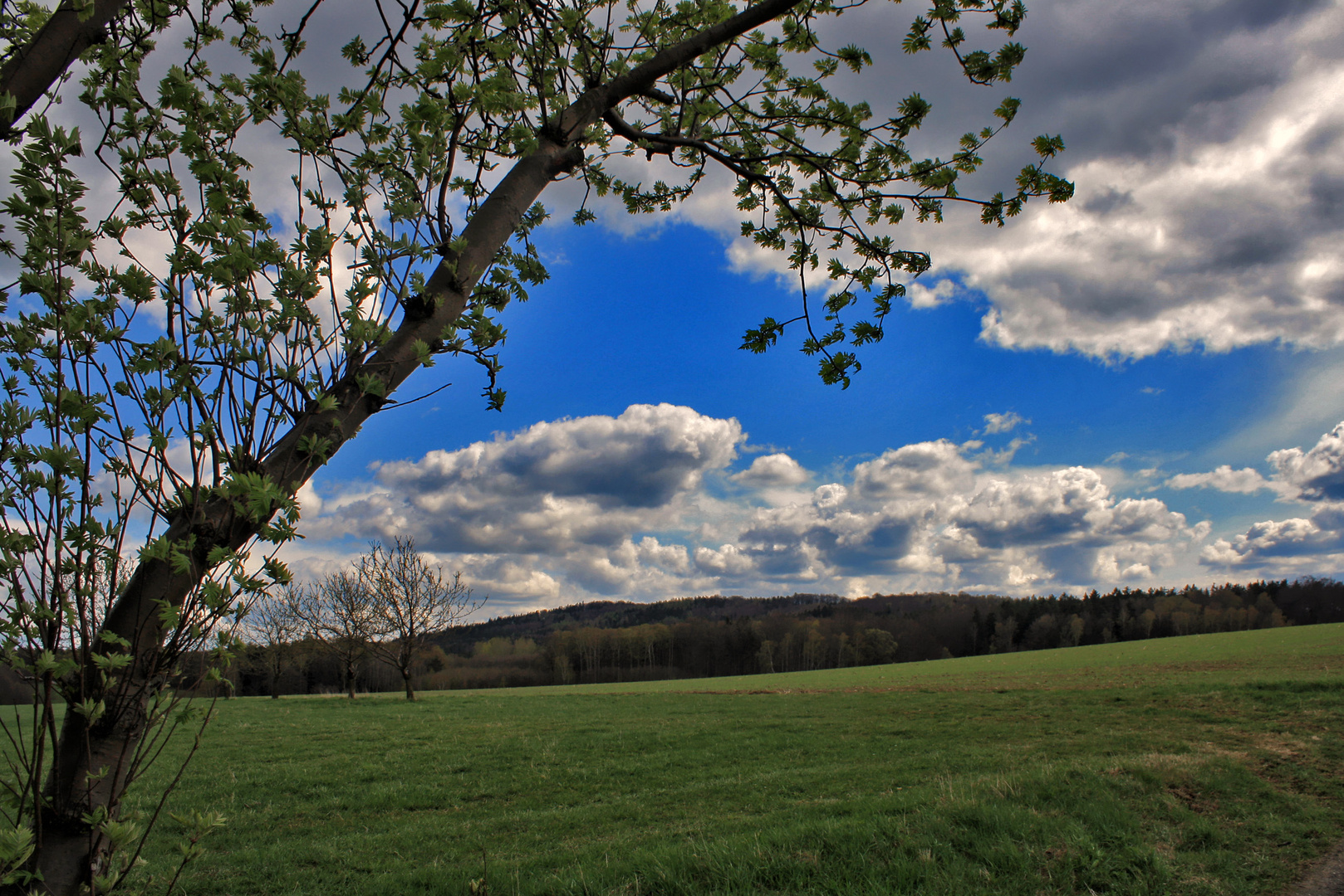 sonntagsspaziergang