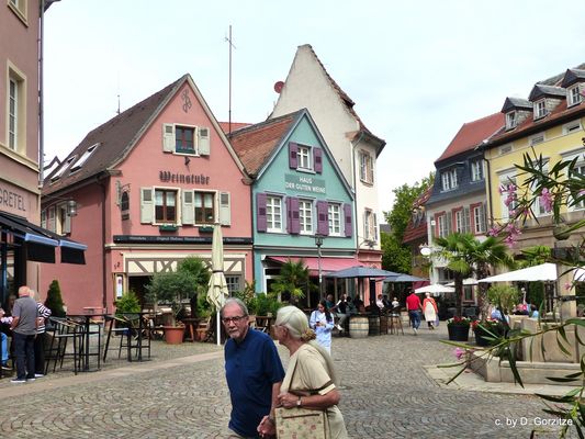 "Sonntagsspaziergang " !