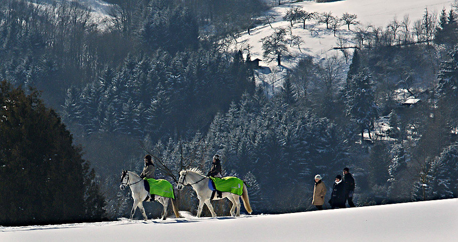 Sonntagsspaziergang