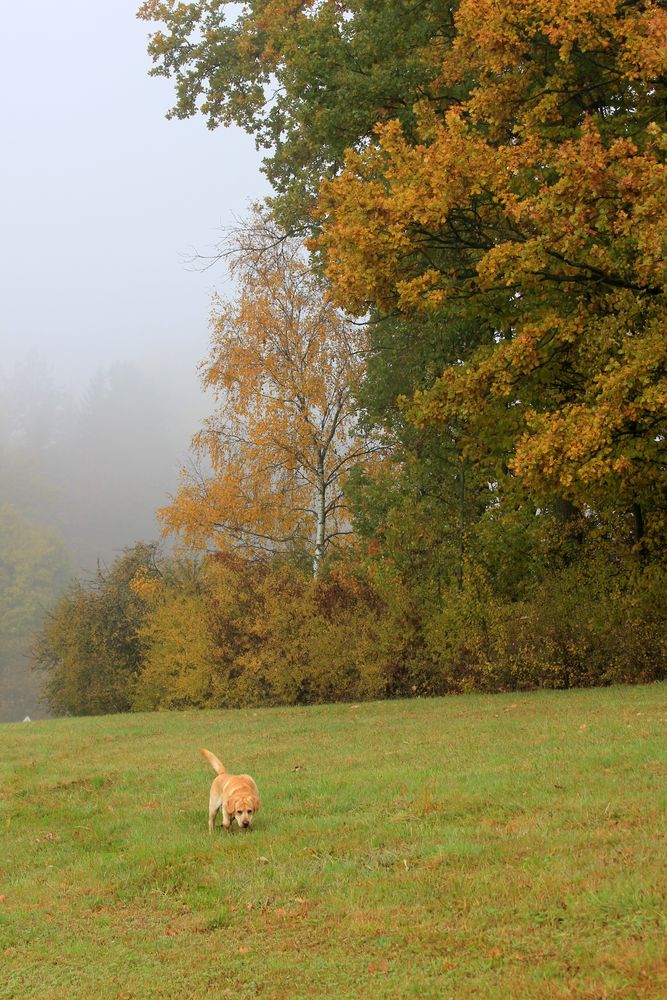 Sonntagsspaziergang