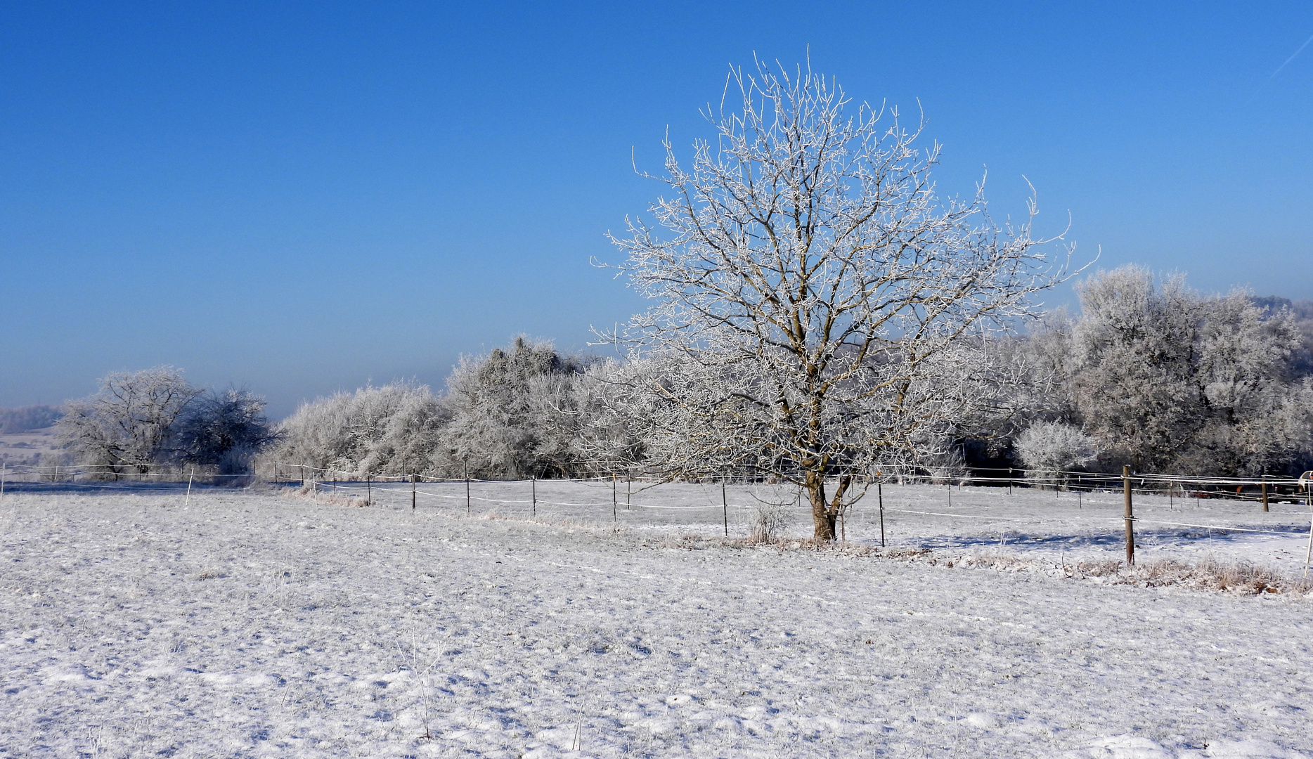 SONNTAGSSPAZIERGANG