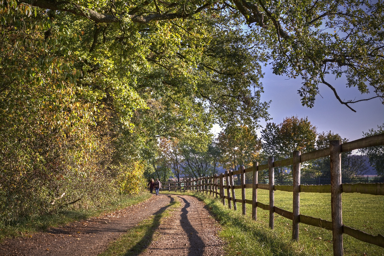 Sonntagsspaziergang II