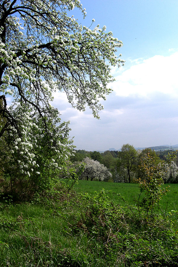 Sonntagsspaziergang II