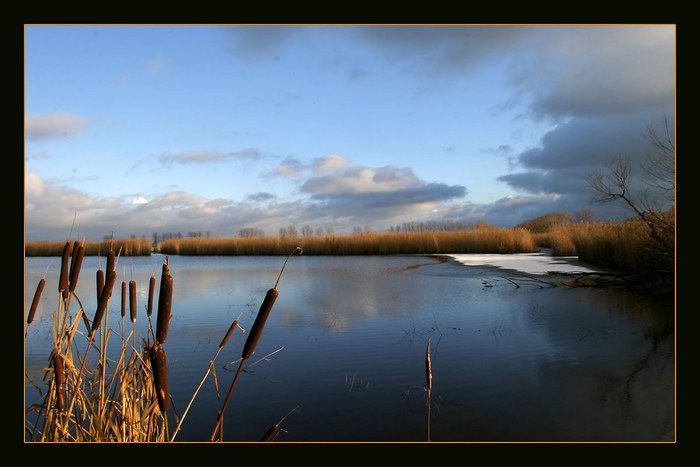 Sonntagsspaziergang im Dezember