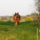 Sonntagsspaziergang im Frühling