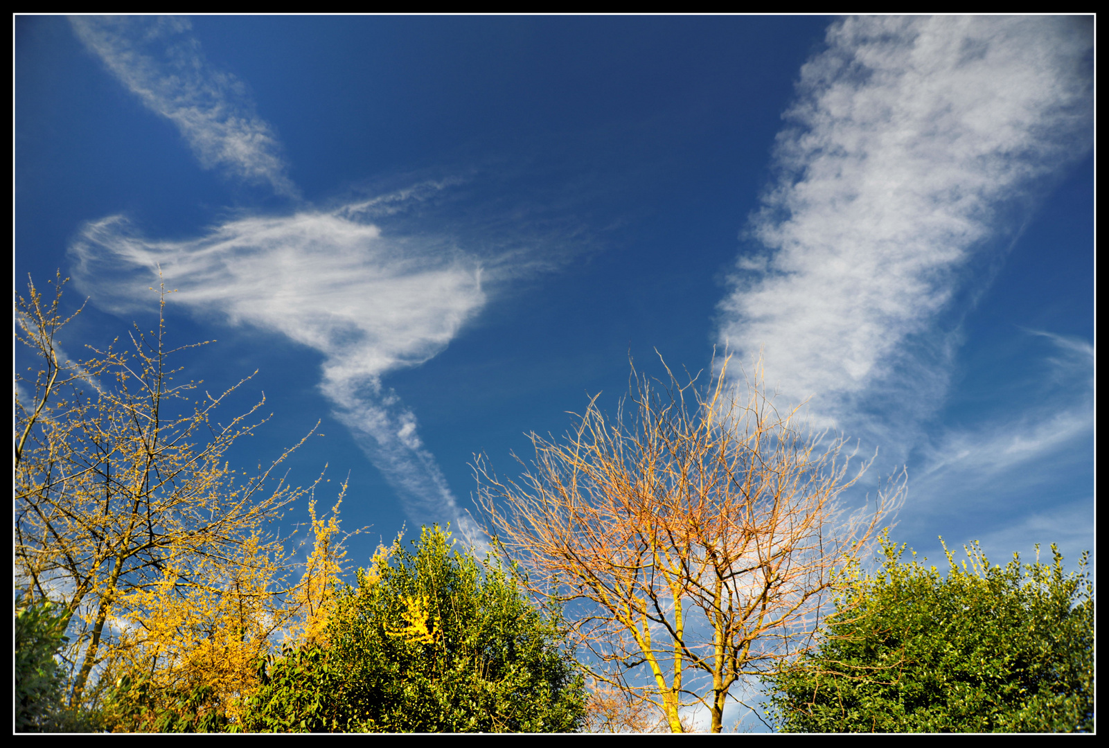 Sonntagsspaziergang im Garten