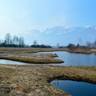 Sonntagsspaziergang im Liechtenstein (Ruggell)