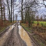 Sonntagsspaziergang im Oberbergischen II